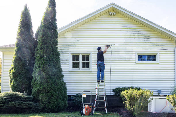 Best Graffiti Removal  in Portsmouth, OH